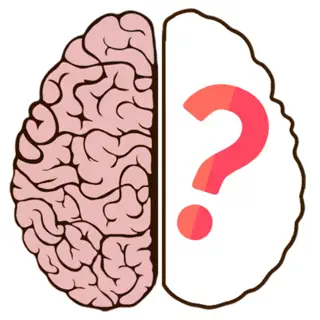 brain_game
